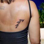 InCollage_20240811_203541037